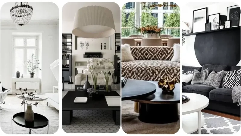 Black And White Design: 7 Styled Color Combinations for Your Living Room
