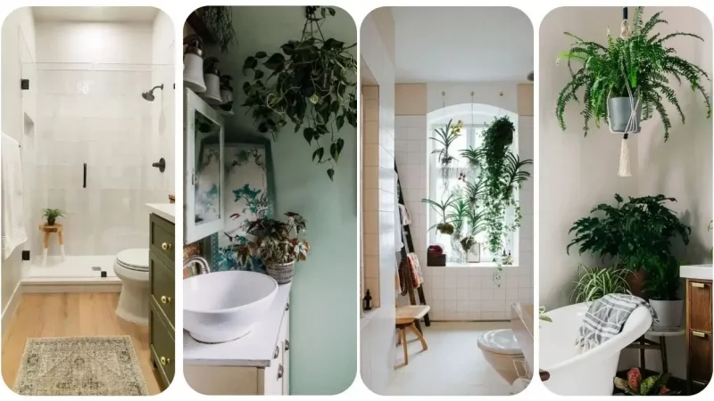 10 Best Ways To Display Bathroom Plants (Even Without Windows)