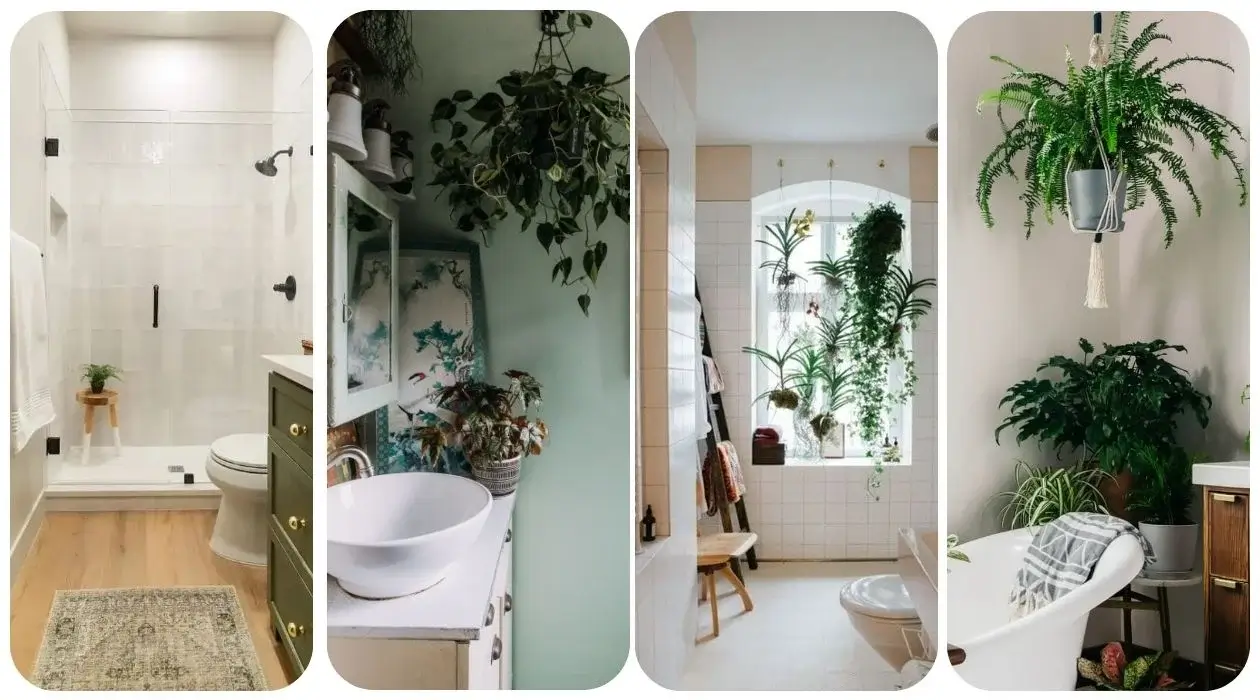 10 Best Ways To Display Bathroom Plants (Even Without Windows)
