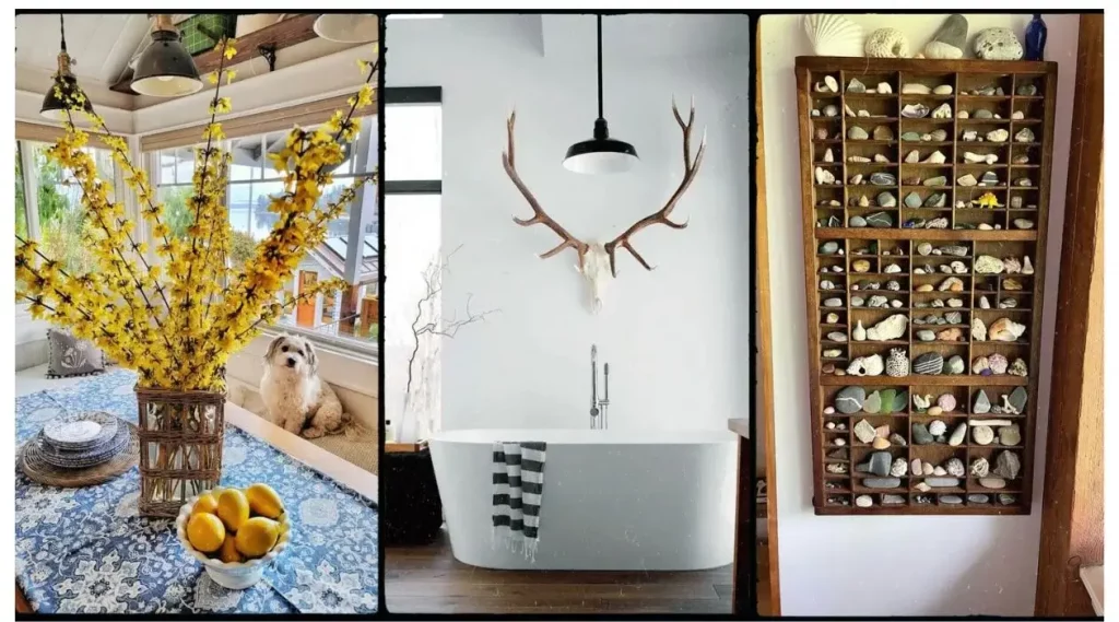 Free Home Decor: How to Use Natural Elements in Interior Design