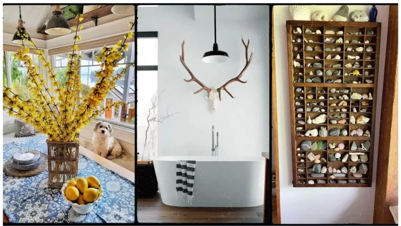 Free Home Decor: How to Use Natural Elements in Interior Design