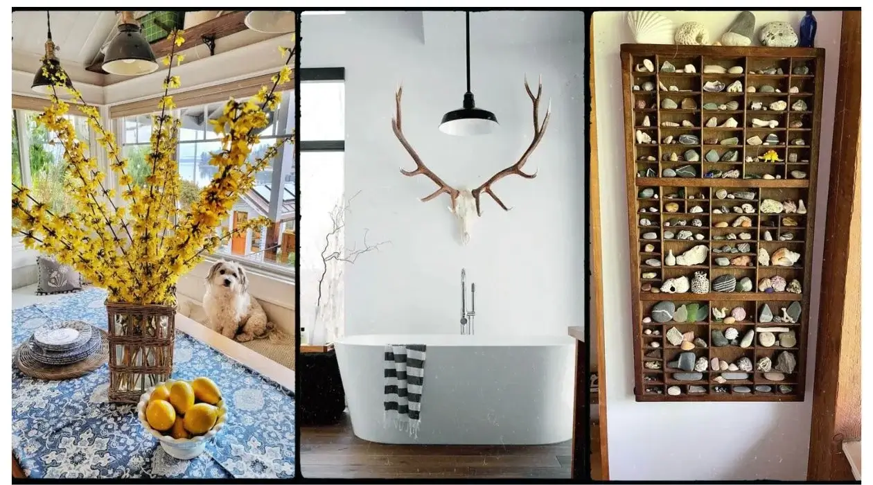 Free Home Decor: How to Use Natural Elements in Interior Design