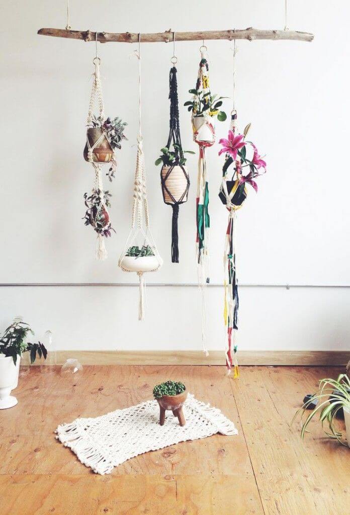 Natural elements in interior design: a sturdy branch used as a rack for multiple hanging indoor plants.