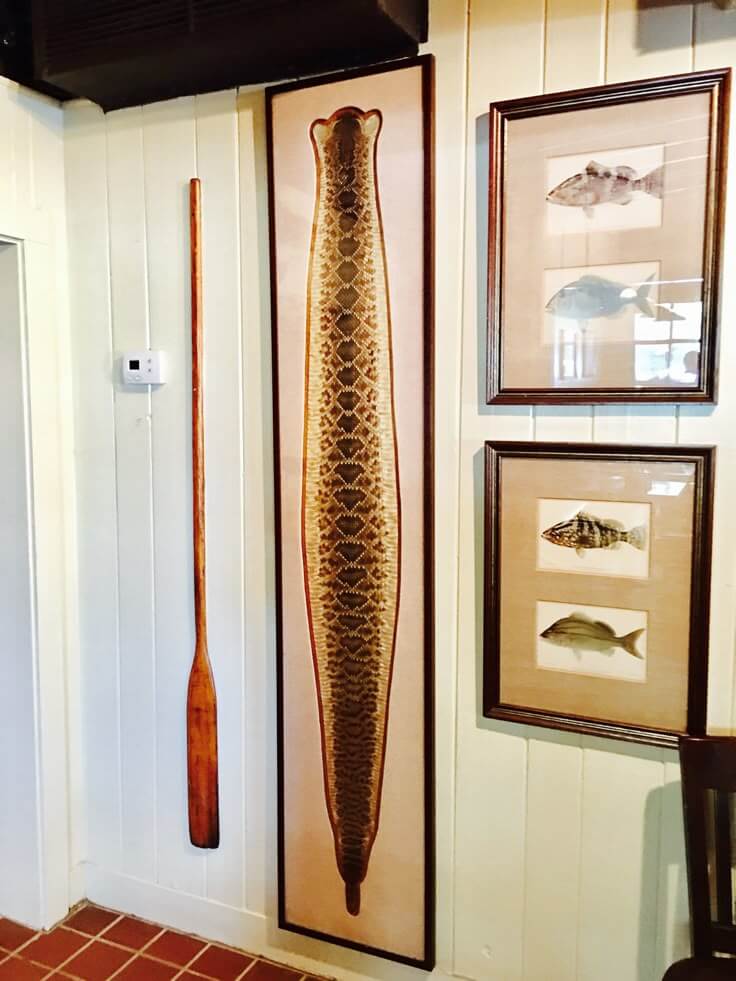 Eclectic wall decor for a nature inspired home: a framed found snake skin as rustic art.