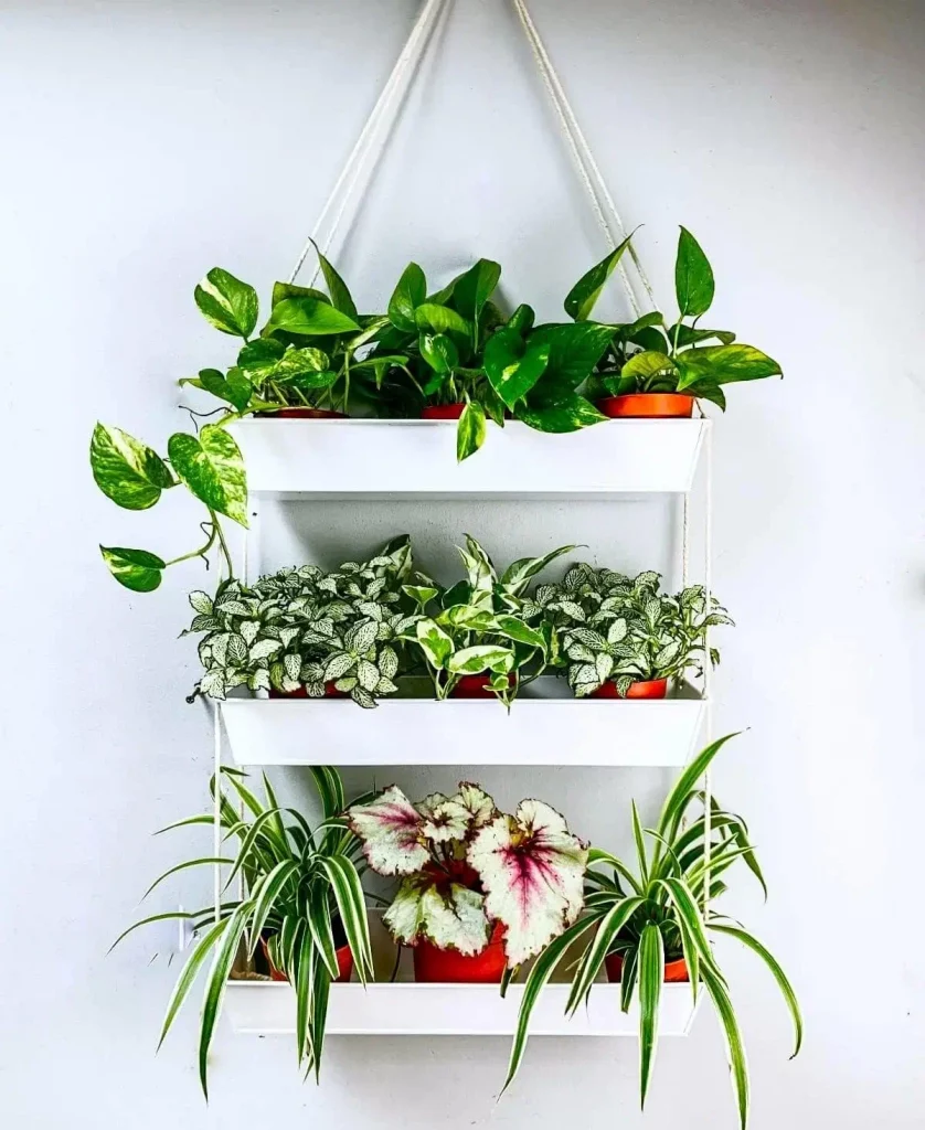 tiered hanging planter