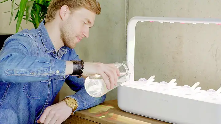 hydroponic indoor garden with grow lights