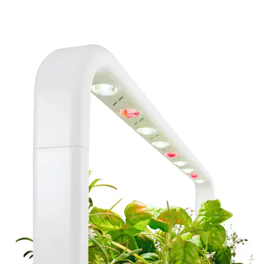 Integrated Lighting System in indoor garden