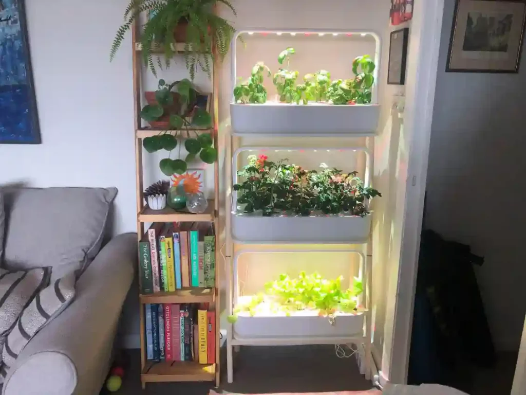 indoor garden with frow lights in lounge room