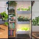 No Sunny Window? Start An Indoor Garden With Grow Lights