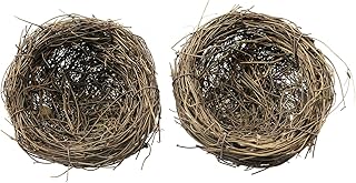 nests