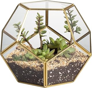 terrarium