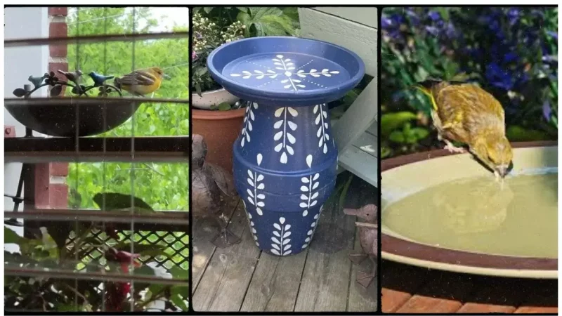 8 Apartment Balcony Bird Bath Ideas That Actually Work (Even on High-Rise Floors)