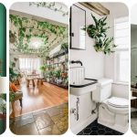 10 Creative Ways To Style a Wall With Plants (Plant Wall Ideas You’ll Love)
