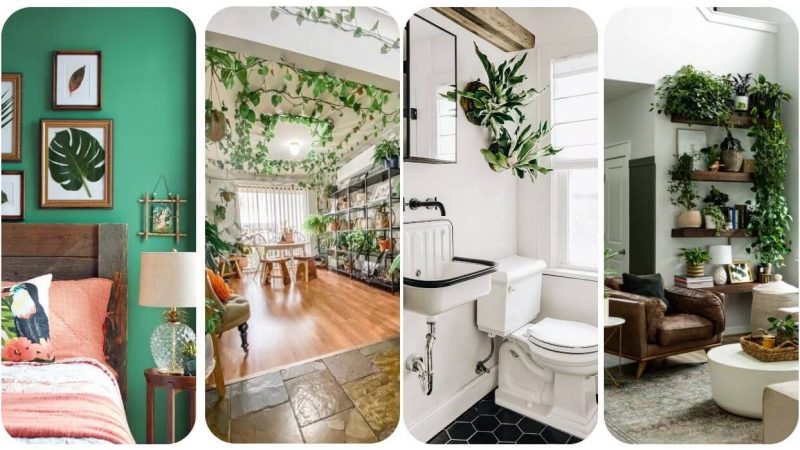 10 Creative Ways To Style a Wall With Plants (Plant Wall Ideas You’ll Love)