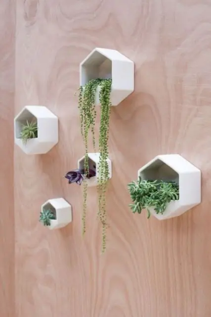 small hexagon wall planters with succulents and artificial plants