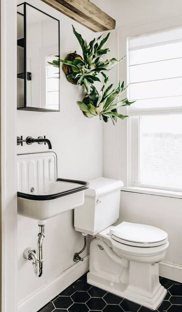 staghorn fern in bathroom creating a simple wall with plants
