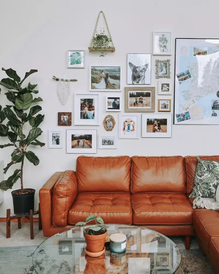 gallery wall with plants 