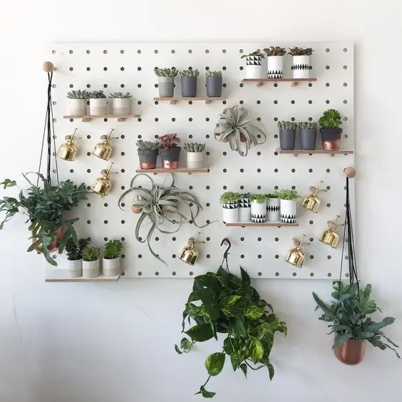 wall with plants pegboard setup with hanging pots and shelves