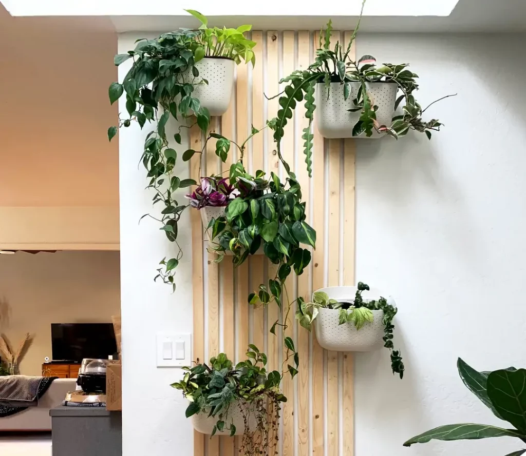 mounted planters to create a wall with plants