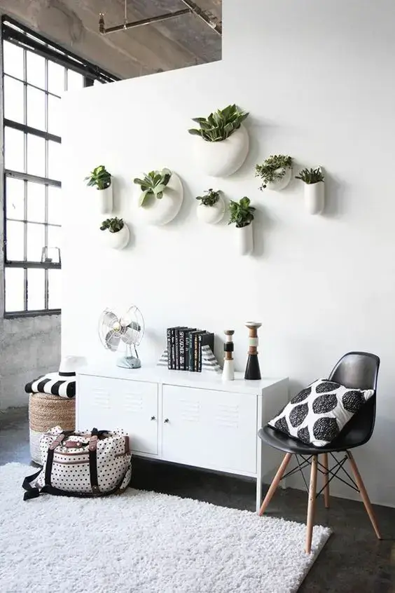 wall with plants in planters, round planters for modern wall decor