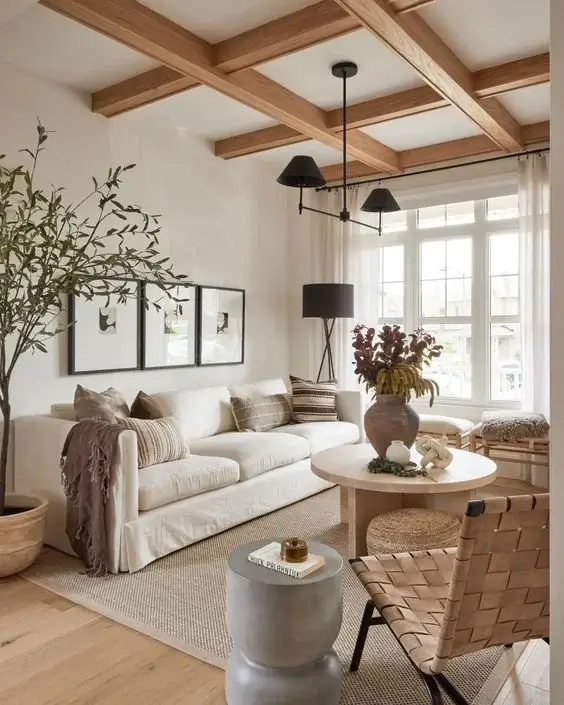modern organic style of home with natural home upgrades