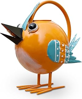 quirky watering can is a cool present