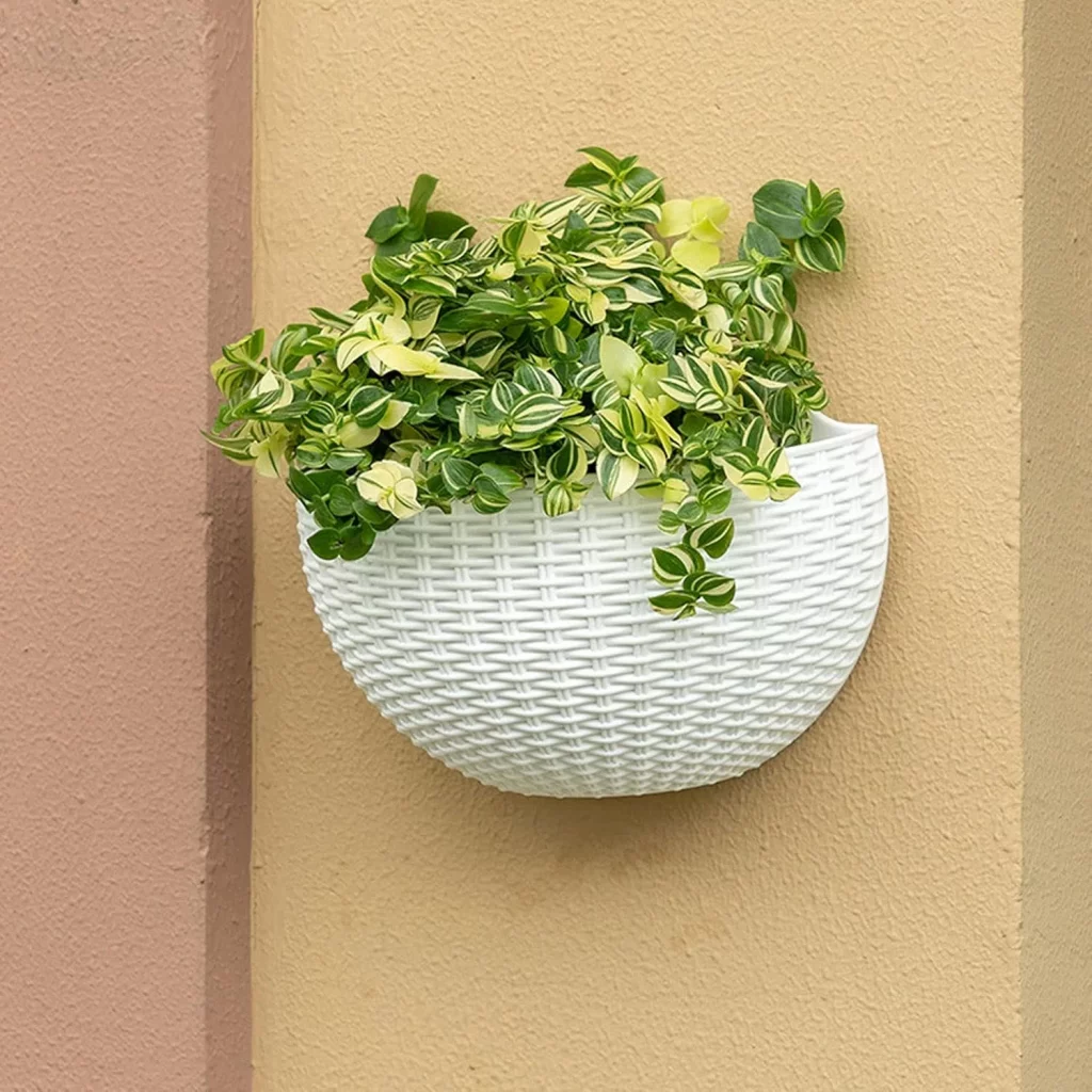 Indoor Wall Planter