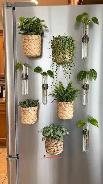 Magnetic planters and hooks to hang plants indoors.