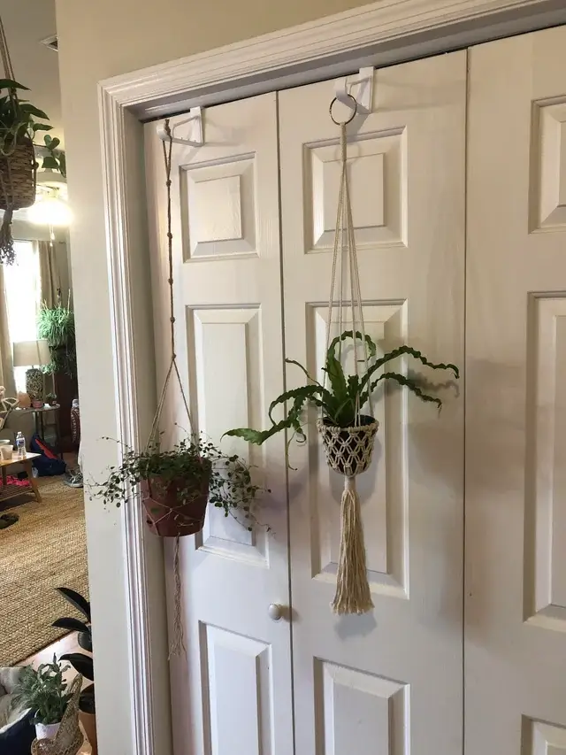 Hang plants indoors on doors using hooks and hangers.