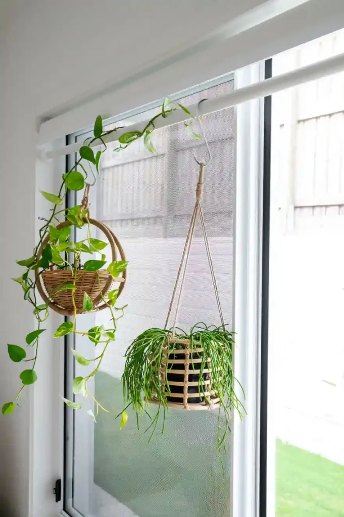 window plant display with tension rod for a plant aesthetic