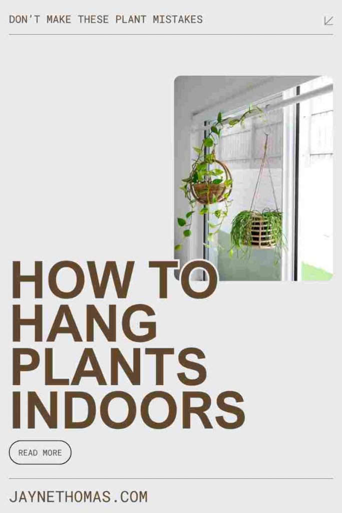How to Hang Plants Indoors Without Killing Them
