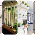 Renter-Friendly Ways to Hang Plants Indoors (No Drilling, No Damage)
