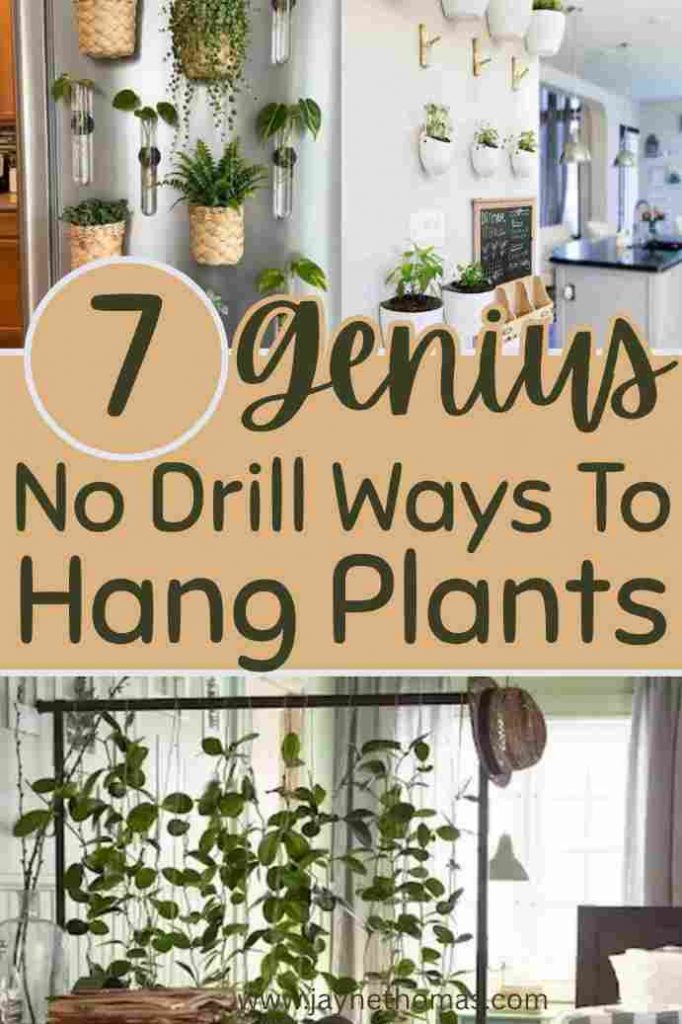 Genius Ways to Hang Plants Indoors Without Damage