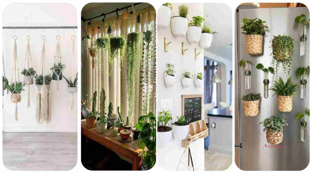 Renter-Friendly Ways to Hang Plants Indoors (No Drilling, No Damage)