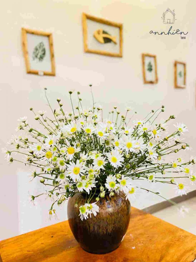 A daisy bouquet on a kitchen counter.
