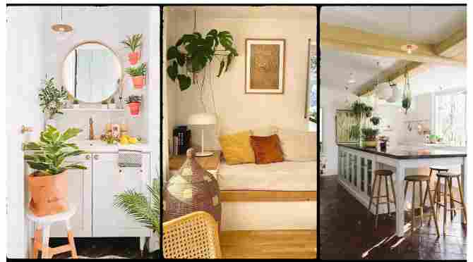 Best Place to Hang Indoor Plants: The Complete Guide for Small Spaces (Light, Weight & Placement Explained)