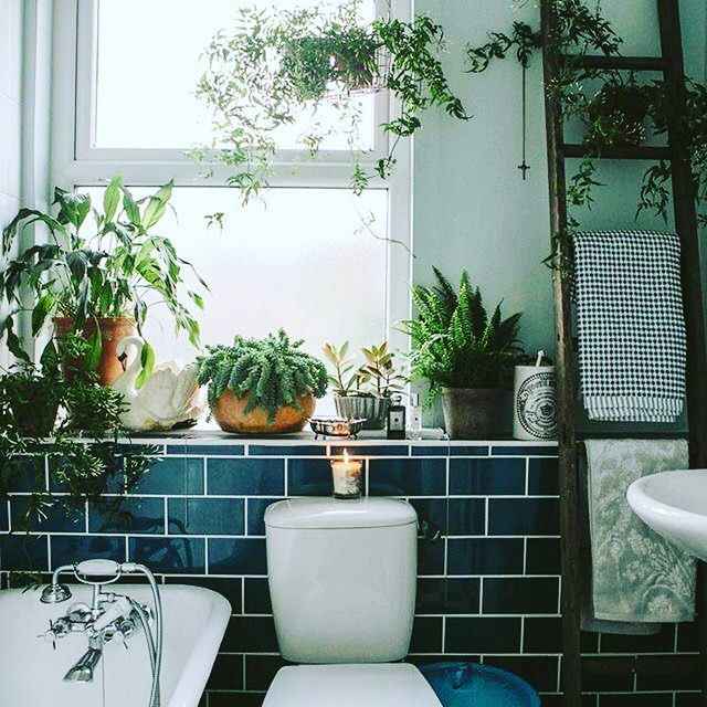 bathroom with hanging plants and indoor plants on the window sill .