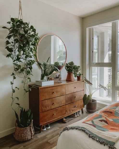 best place to hang plants indoors for a small bedroom
