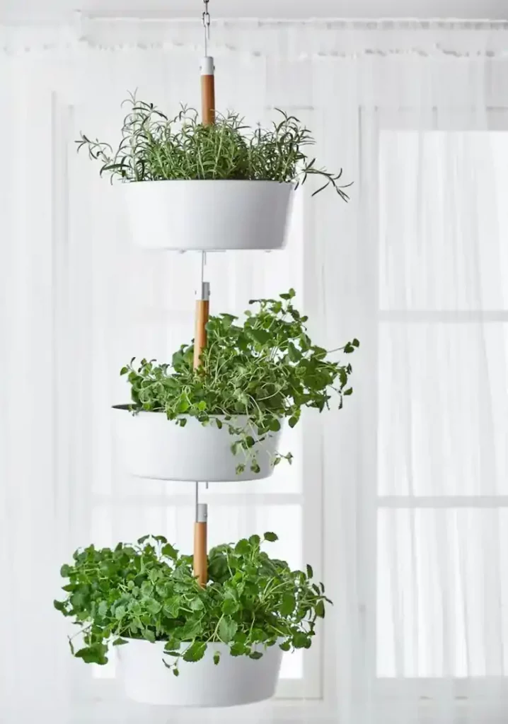 hanging baskets of herbs in kitchen