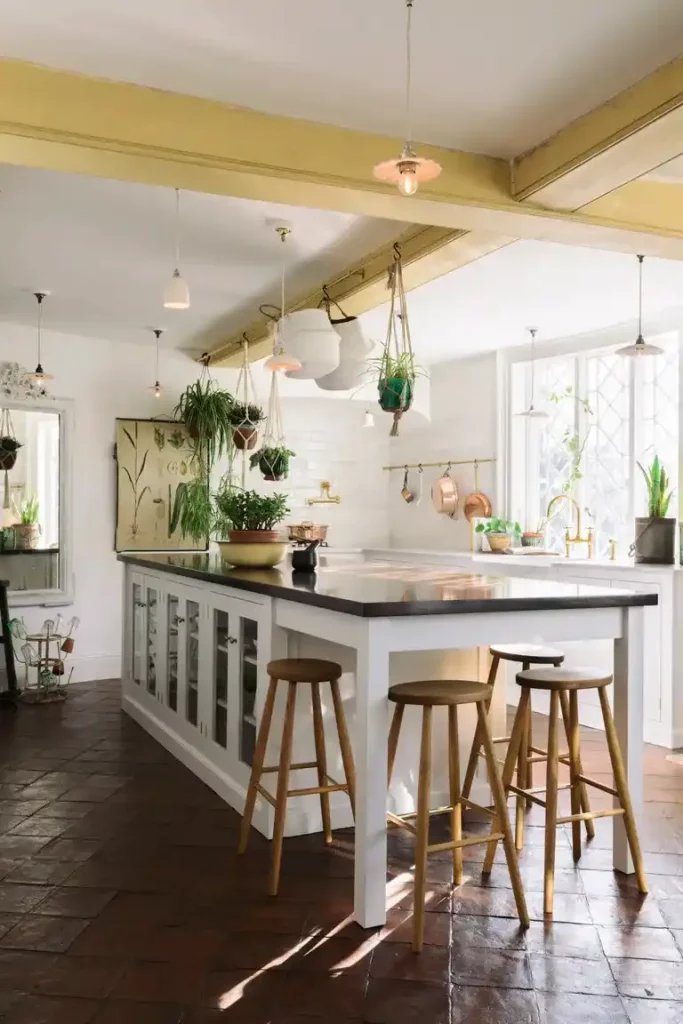 bright kitchen with hanging plants above the island.