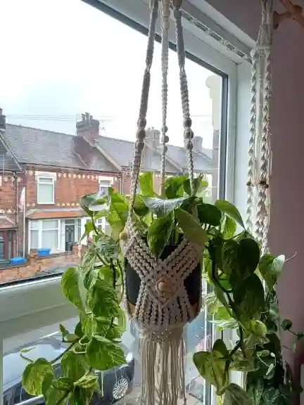macrame hanger in window to great a window garden to decorate with plants