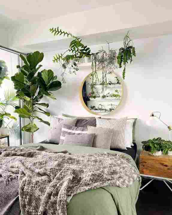 best place to hang indoor plants, in front of mirror