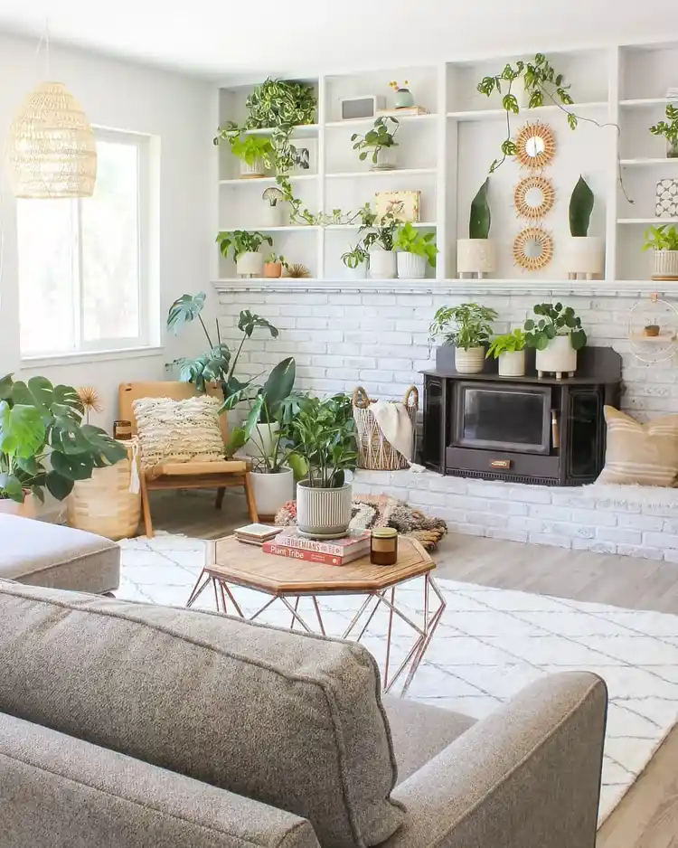 trailing plants on shelves