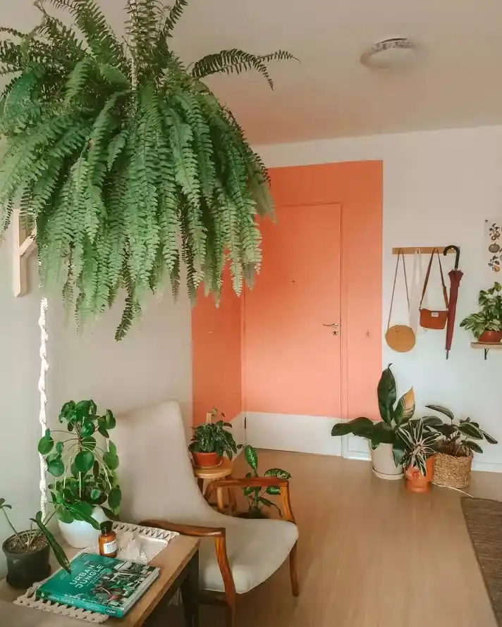 fern hanging from wall bracket in the entryway