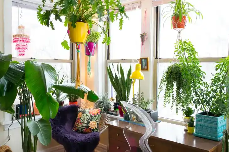 window garden using hanging plants at different heights