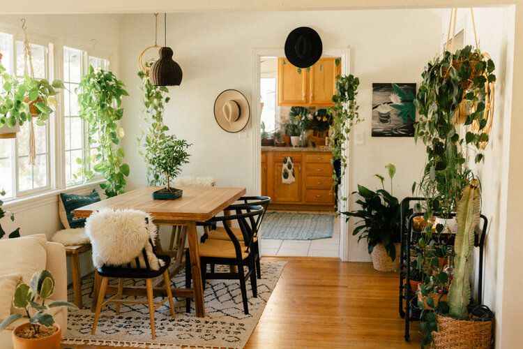 best place to hang indoor plants is on the ceiling using ceiling hooks