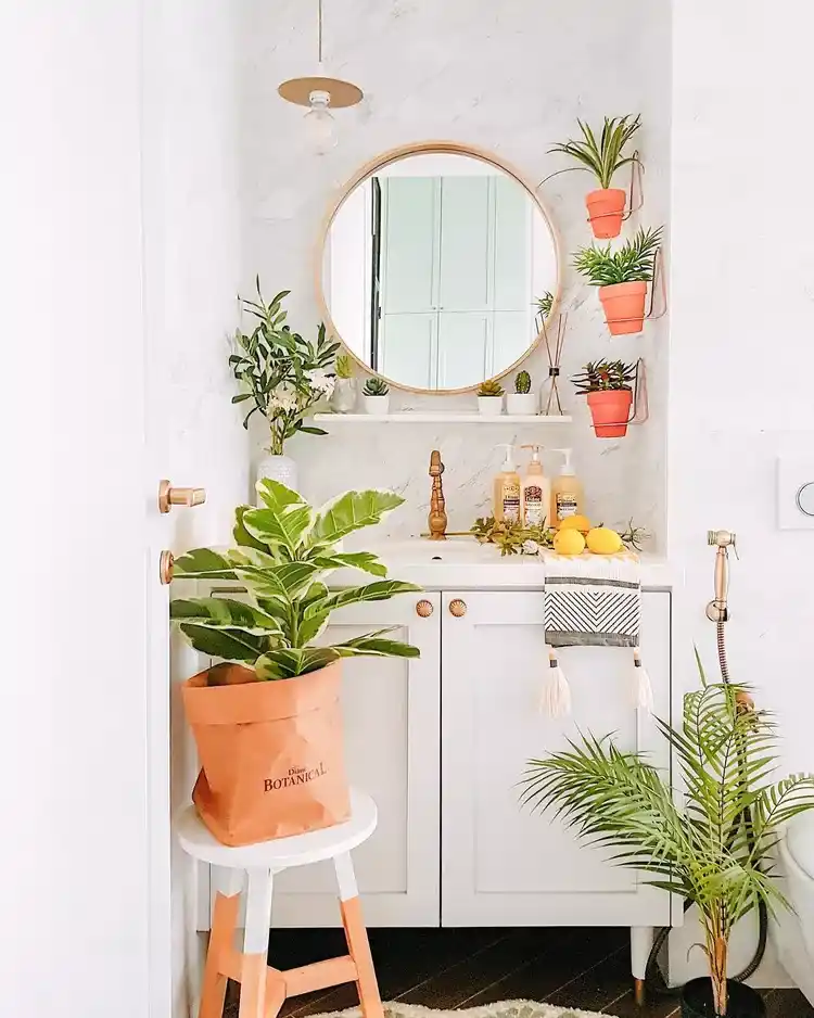 bathroom with hanging plants on wall