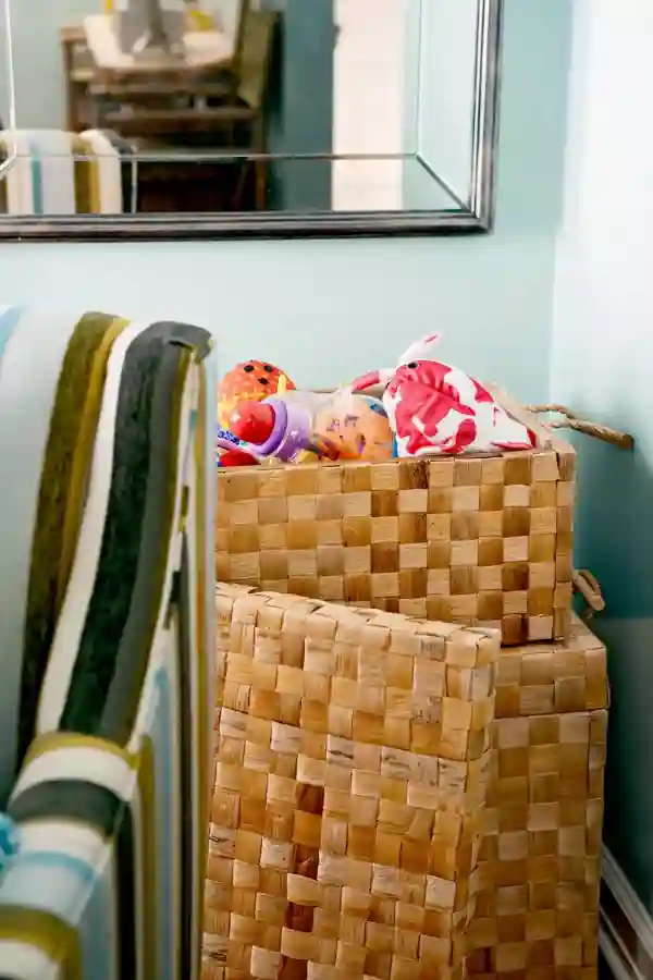 Interior design on a budget using woven basket storage for dog toys in a stylish and functional homey apartment.