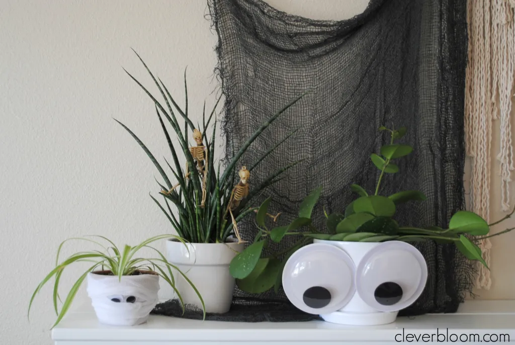 Houseplants decorated for Halloween.