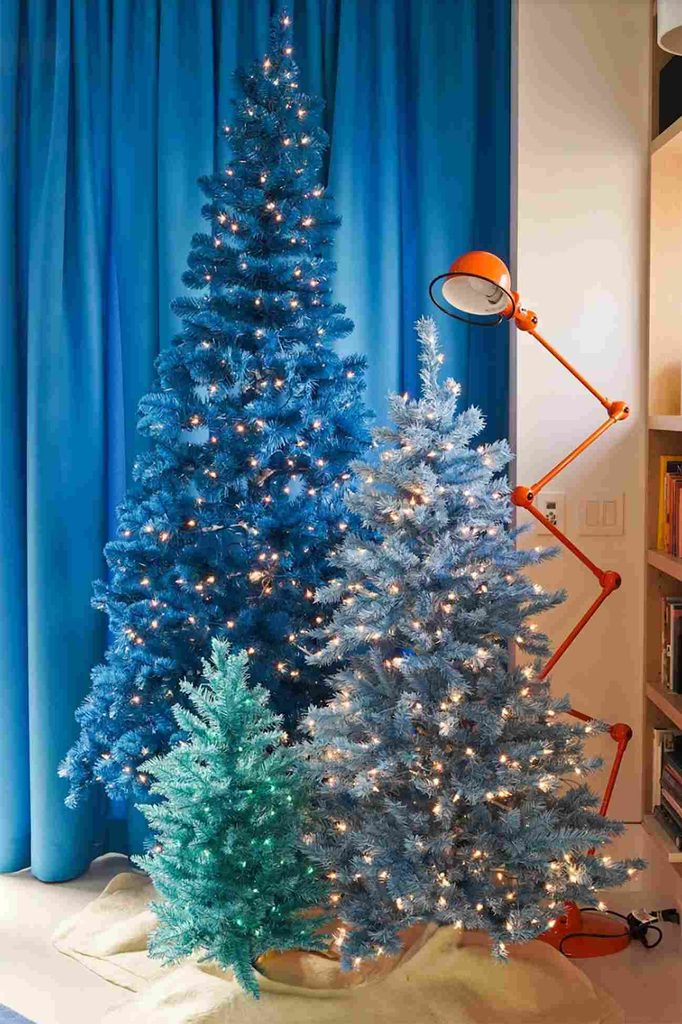 Three Christmas trees in different shades of blue